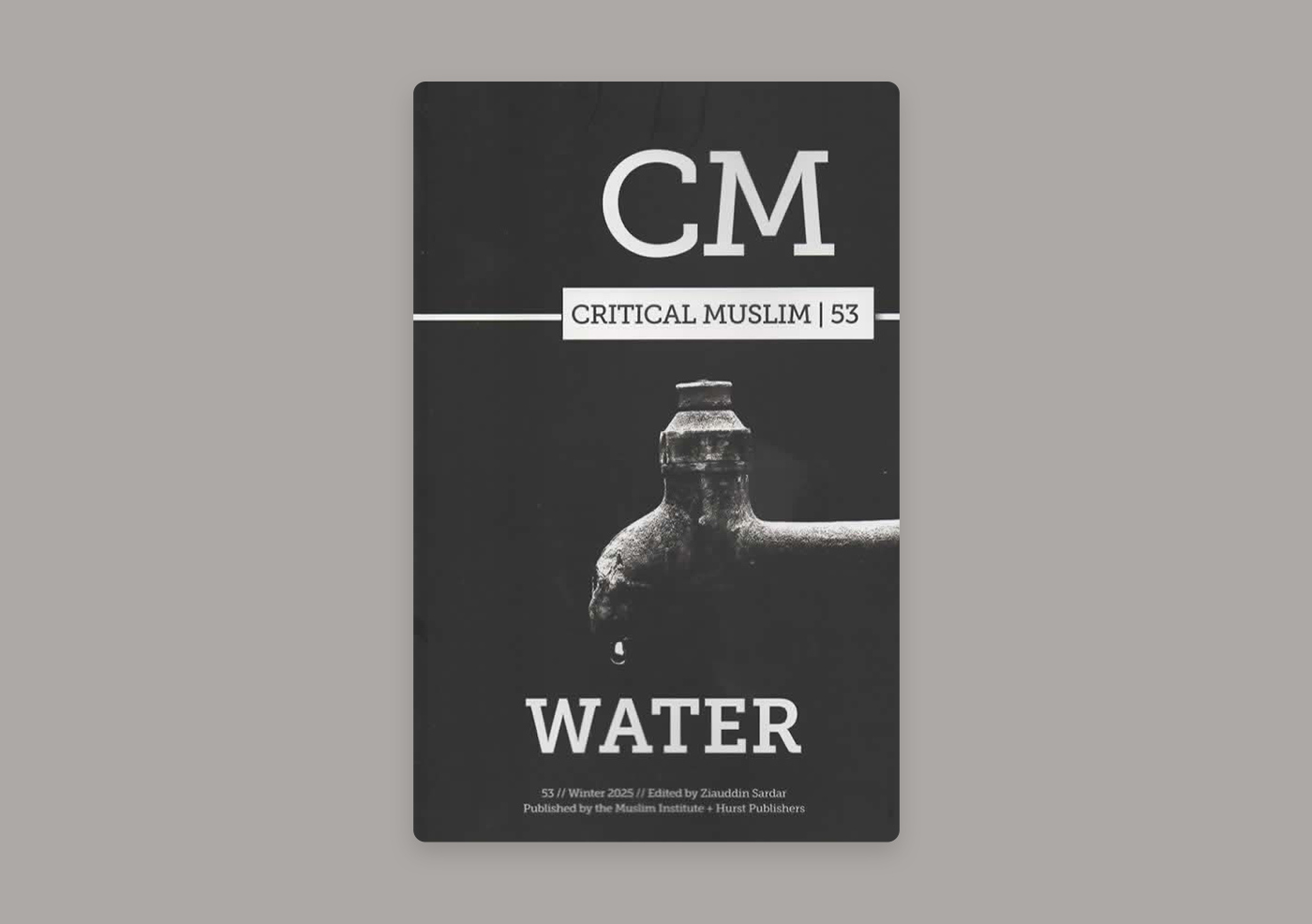 Book cover for Critical Muslim@ Water
